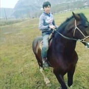 ���������� �����-���������, ���� ����� ����������, 25 ���, ������������ ��� ������, ����� � ���������, c�������� ���������, ���������