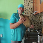 ���������� ����, ���� ������� ������, 72 ����, ������������ 