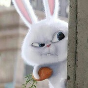 ���������� ����, ���� ������� �����, 39 ���, ������������ ��� ������