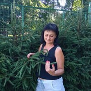 ���������� �����������, ���� ������� ������, 55 ���, ������������ ��� ����� � ���������, c�������� ���������