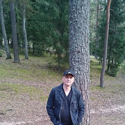  ,   , 53 ,   