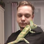 ���������� ������, ���� ������� Philipp, 29 ���, ������������ ��� c�������� ���������