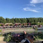 ���������� ������, ���� ������� �����, 43 ����, ������������ ��� ����� � ���������, c�������� ���������