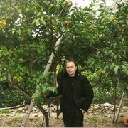 ���������� ������, ���� ������� Arex68, 57 ���, ������������ ��� ������