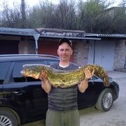 ���������� ����������, ���� ������� �����, 51 ���, ������������ ��� ����� � ���������, c�������� ���������