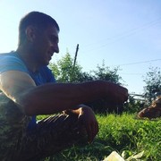 ���������� �����, ���� ������� �����, 44 ����, ������������ ��� ������, ����� � ���������, c�������� ���������