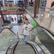  ,   , 38 ,   ,   