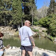 ���������� �����������, ���� ������� ���������, 44 ����, ������������ ��� ����� � ���������, c�������� ���������, ���������