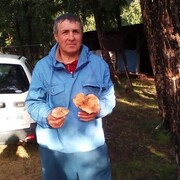  ,  , 55
