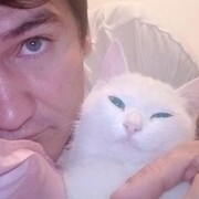 ���������� �������, ���� ������� �������, 31 ���, ������������ ��� ������, ����� � ���������, c�������� ���������