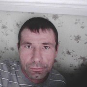  ,   Wolf, 41 ,   