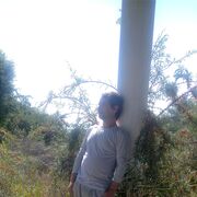 ���������� ������, ���� ������� �����, 49 ���, ������������ ��� ������, ����� � ���������, c�������� ���������