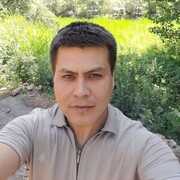 ���������� �����-���������, ���� ������� Qodir, 36 ���, ������������ ��� ������, ����� � ���������