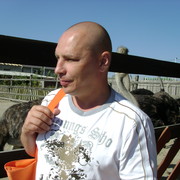  ,   , 47 ,   