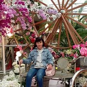 ���������� �����, ���� ������� Lina, 51 ���, ������������ ��� ����� � ���������, c�������� ���������, ���������