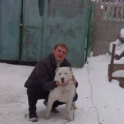 ���������� ����-�������, ���� ������� Tema, 44 ����, ������������ ��� ������, ����� � ���������, c�������� ���������