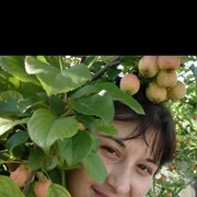 ���������� �������, ���� ������� ���������, 38 ���, ������������ ��� ������, ����� � ���������