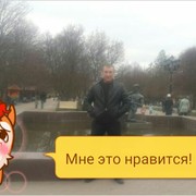  --,   , 43 ,   