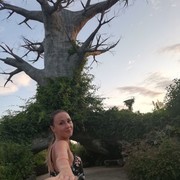  ,   , 26 ,     , c 