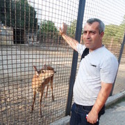  ,   NATIQ, 42 ,   