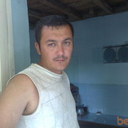  -,   , 43 ,   
