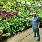  ,   , 74 ,   c , 