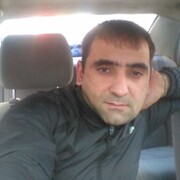  Zemun,  , 39