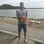 ���������� ����������, ���� ����� ����, 25 ���, ������������ ��� ������, ����� � ���������