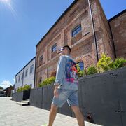 ���������� �����������, ���� ������� ����, 33 ����, ������������ 