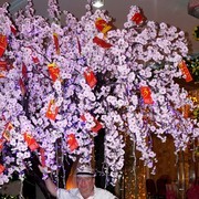 ���������� �����������, ���� ������� ������, 61 ���, ������������ ��� ������, ����� � ���������, c�������� ���������