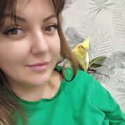 ���������� ���������, ��������