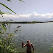 ���������� ������, ���� ������� ���������, 51 ���, ������������ ��� ������, ����� � ���������