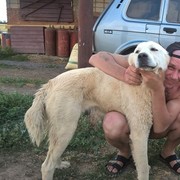 ���������� ������-��-����, ���� ������� ����, 43 ����, ������������ ��� ������, ����� � ���������, c�������� ���������