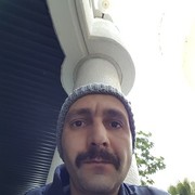  Holon,   David, 41 ,   ,   , c 