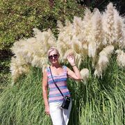 ���������� �����������, ���� ������� ����, 52 ����, ������������ ��� ����� � ���������, ���������