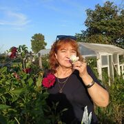   ,   , 57 ,   