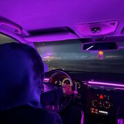 ���������� ���������, ������ Anas, 23