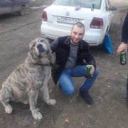  ,   , 36 ,   