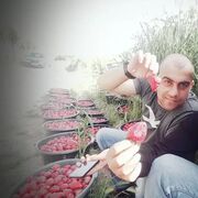 ���������� ������, ���� ������� �����, 37 ���, ������������ ��� ������, ����� � ���������