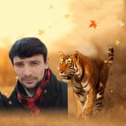 ���������� ���������, ���� ������� �����, 34 ����, ������������ ��� ������, ����� � ���������