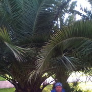  ,   Ghena, 47 ,   ,   , c 