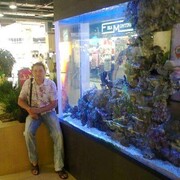  ,   , 44 ,   ,   , c , 