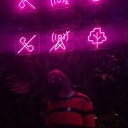 ���������� ����, ���� ������� �����������, 30 ���, ������������ ��� c�������� ���������