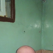  ,   Fox, 48 ,   ,   , c , 