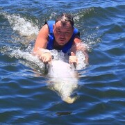 ���������� ����, ���� ������� �����, 43 ����, ������������ ��� ������, ����� � ���������