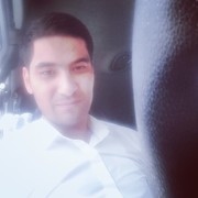 ���������� �������, ���� ������� Sardor, 37 ���, ������������ ��� ������, ����� � ���������, c�������� ���������