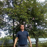  ,   , 41 ,   