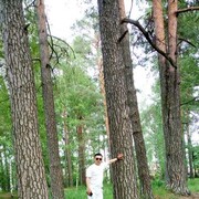  ,    , 29 ,   ,   , 