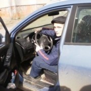 ���������� ������, ���� ������� ������, 38 ���, ������������ ��� ������, ����� � ���������, c�������� ���������