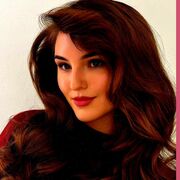 ���������� �����������, ������